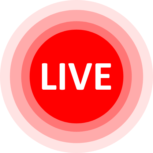 Escort Videochat